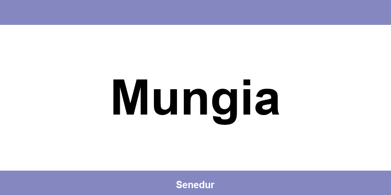 Teléfono directo de la oficina SEUR en Mungia