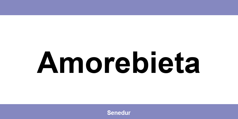 Teléfono directo de la oficina SEUR en Amorebieta