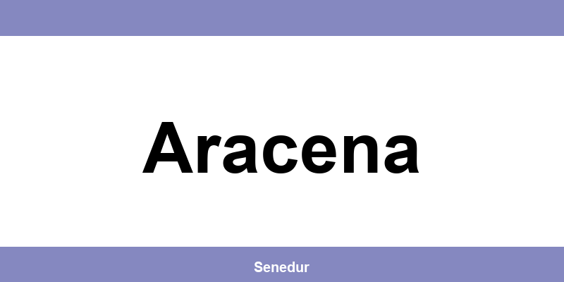 Teléfono directo de la oficina SEUR en Aracena