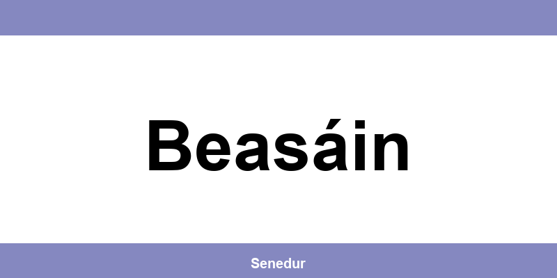 Teléfono directo de la oficina SEUR en Beasáin