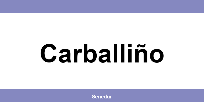 Teléfono directo de la oficina SEUR en Carballiño