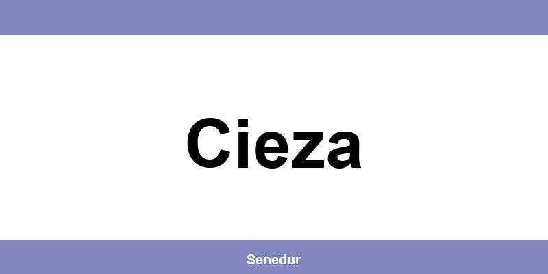 Teléfono directo de la oficina SEUR en Cieza