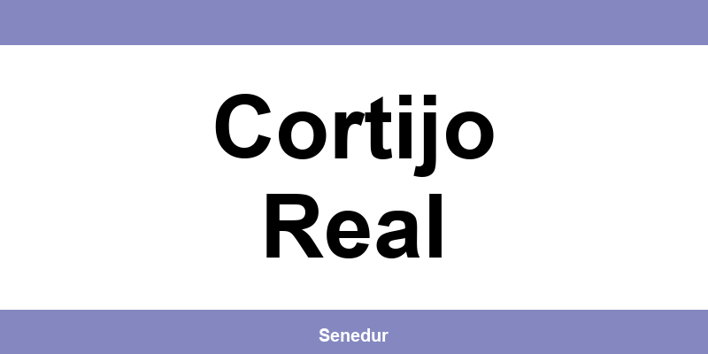 Teléfono directo de la oficina SEUR en Cortijo Real