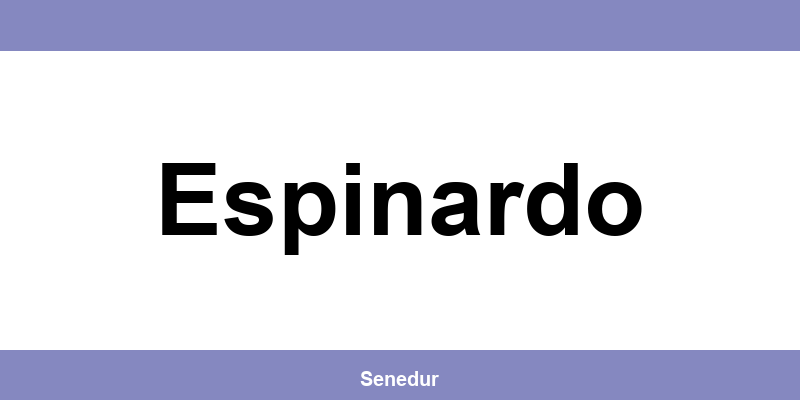 Teléfono directo de la oficina SEUR en Espinardo