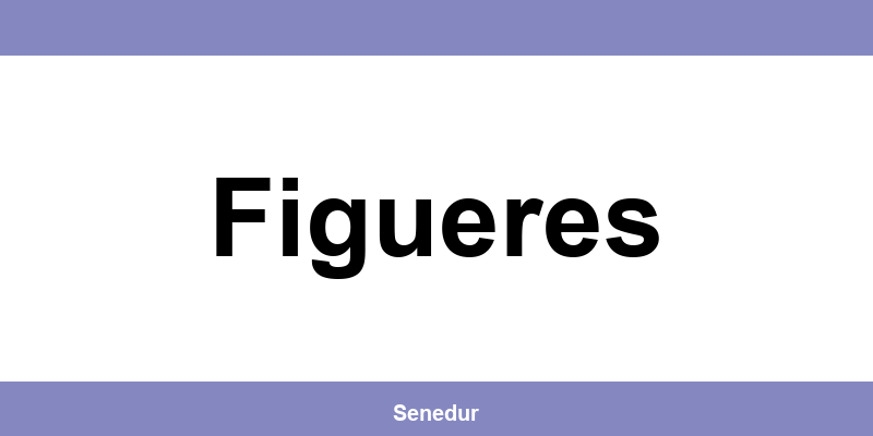 Teléfono directo de la oficina SEUR en Figueres