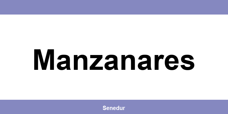 Teléfono directo de la oficina SEUR en Manzanares