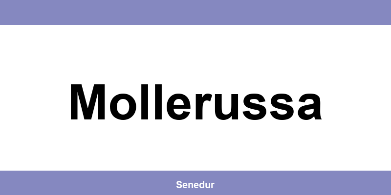 Teléfono directo de la oficina SEUR en Mollerussa