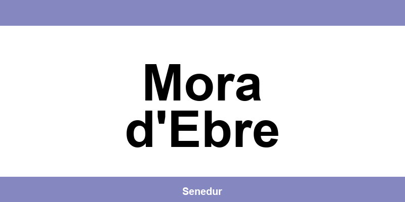 Teléfono directo de la oficina SEUR en Mora d'Ebre