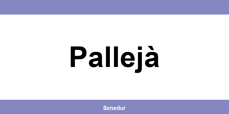 Teléfono directo de la oficina SEUR en Pallejà
