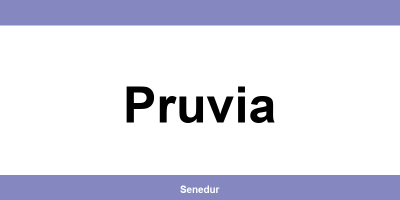 Teléfono directo de la oficina SEUR en Pruvia