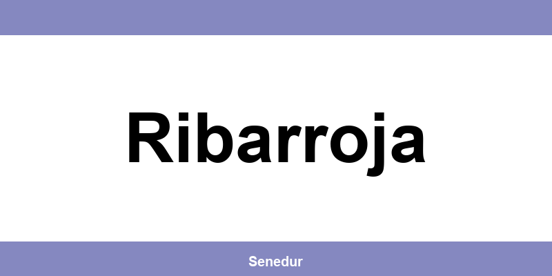 Teléfono directo de la oficina SEUR en Ribarroja