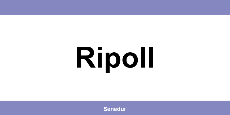 Teléfono directo de la oficina SEUR en Ripoll