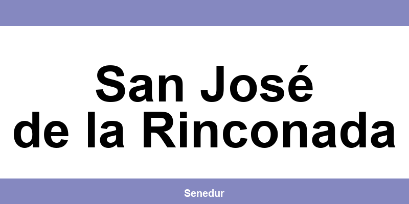 Teléfono directo de la oficina SEUR en San José de la Rinconada