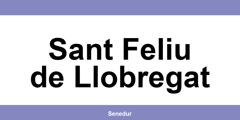 Teléfono directo de la oficina SEUR en Sant Feliu de Llobregat