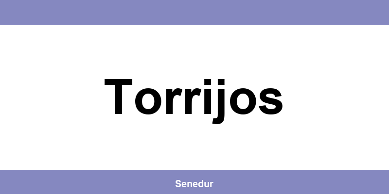 Teléfono directo de la oficina SEUR en Torrijos