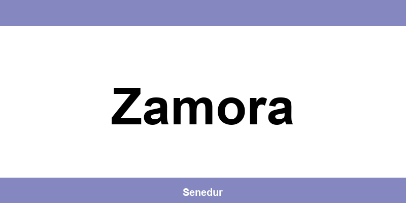 Teléfono directo de la oficina SEUR en Zamora