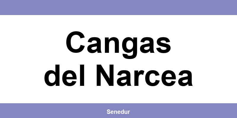 Teléfono directo de la oficina SEUR en Cangas del Narcea