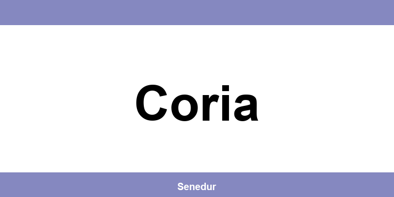 Teléfono directo de la oficina SEUR en Coria