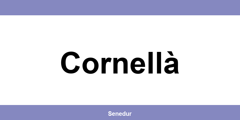 Teléfono directo de la oficina SEUR en Cornellà