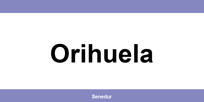 Teléfono directo de la oficina SEUR en Orihuela