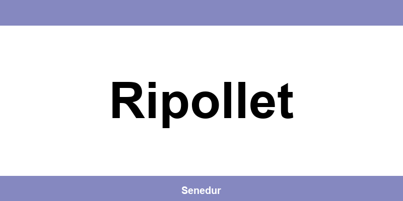 Teléfono directo de la oficina SEUR en Ripollet