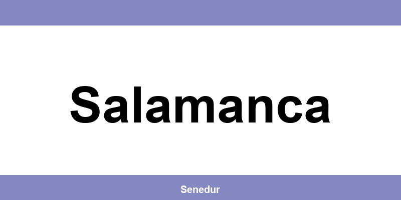 Teléfono directo de la oficina SEUR en Salamanca