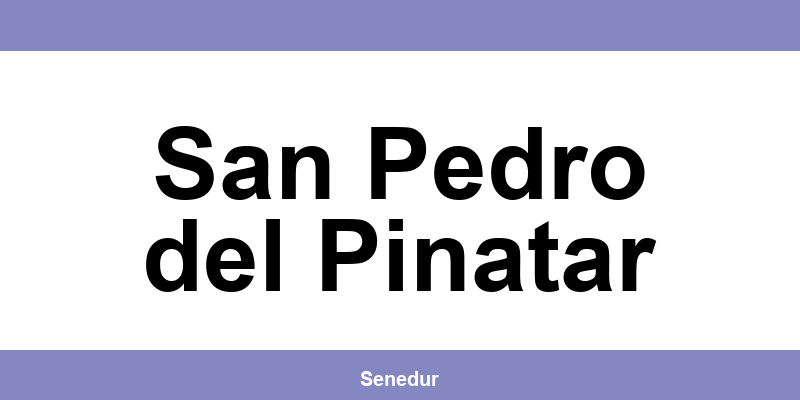 Teléfono directo de la oficina SEUR en San Pedro del Pinatar