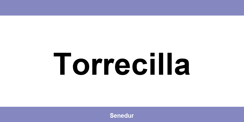 Teléfono directo de la oficina SEUR en Torrecilla