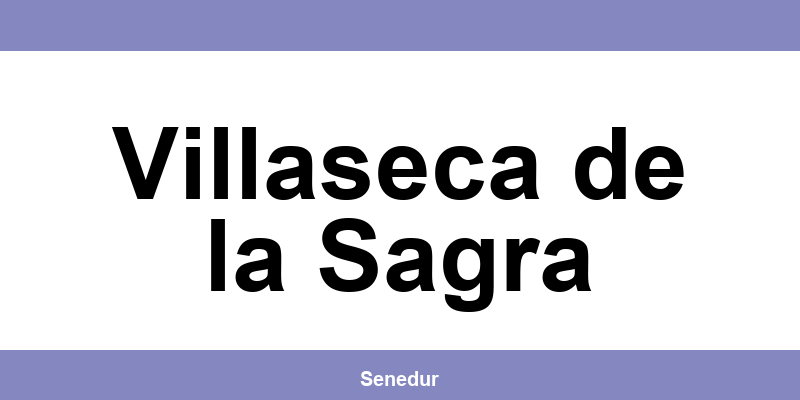 Teléfono directo de la oficina SEUR en Villaseca de la Sagra